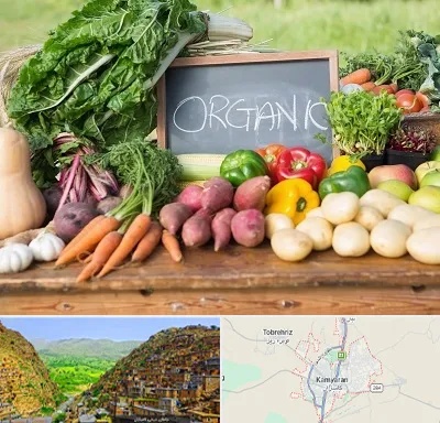 فروشگاه محصولات ارگانیک در کامیاران