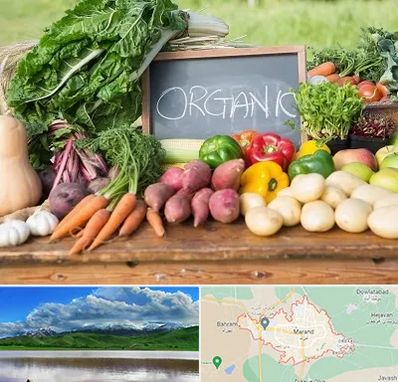 فروشگاه محصولات ارگانیک در مرند