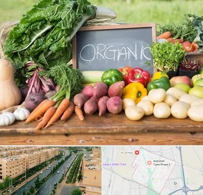 فروشگاه محصولات ارگانیک در فاز سه اندیشه