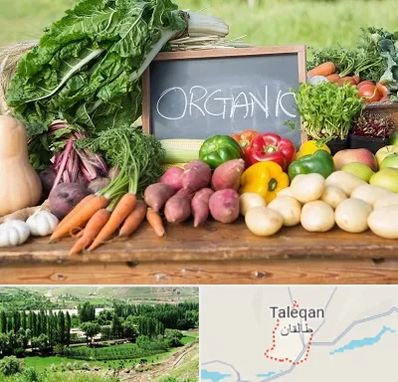 فروشگاه محصولات ارگانیک در طالقان