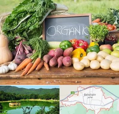 فروشگاه محصولات ارگانیک در بهشهر