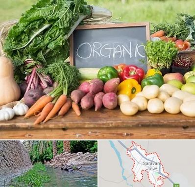 فروشگاه محصولات ارگانیک در سراوان