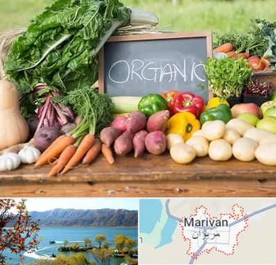 فروشگاه محصولات ارگانیک در مریوان