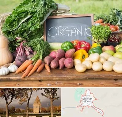 فروشگاه محصولات ارگانیک در تویسرکان
