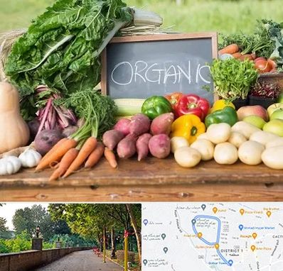 فروشگاه محصولات ارگانیک در فلکه گاز رشت