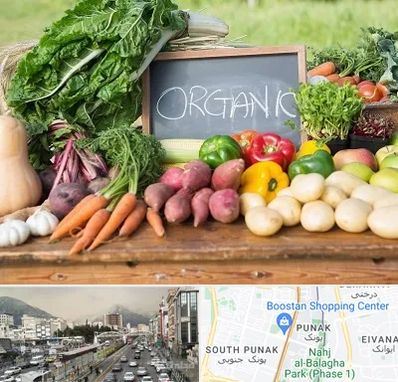 فروشگاه محصولات ارگانیک در پونک 