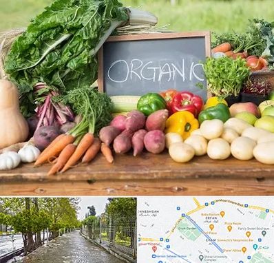 فروشگاه محصولات ارگانیک در خیابان ارم شیراز