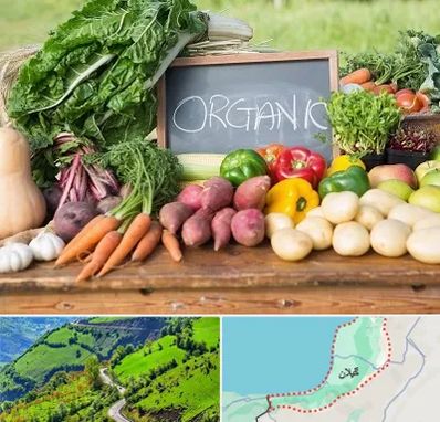 فروشگاه محصولات ارگانیک در گیلان