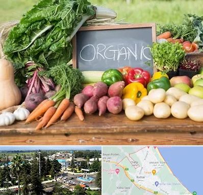 فروشگاه محصولات ارگانیک در رودسر