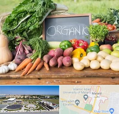 فروشگاه محصولات ارگانیک در ملارد