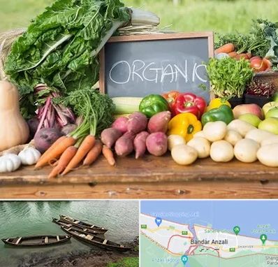 فروشگاه محصولات ارگانیک در بندر انزلی