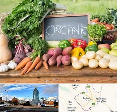 فروشگاه محصولات ارگانیک در تایباد