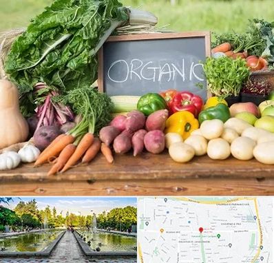 فروشگاه محصولات ارگانیک در سرسبز 