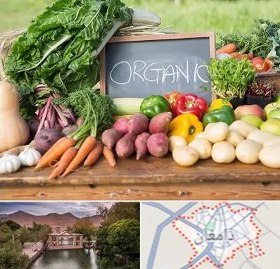 فروشگاه محصولات ارگانیک در دامغان