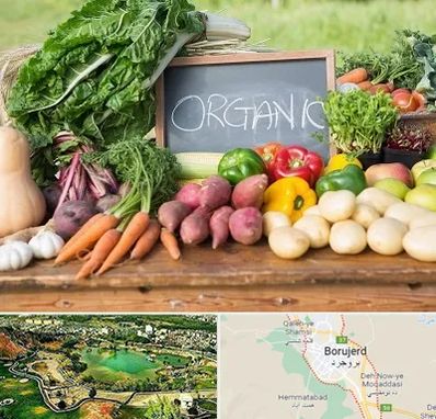 فروشگاه محصولات ارگانیک در بروجرد