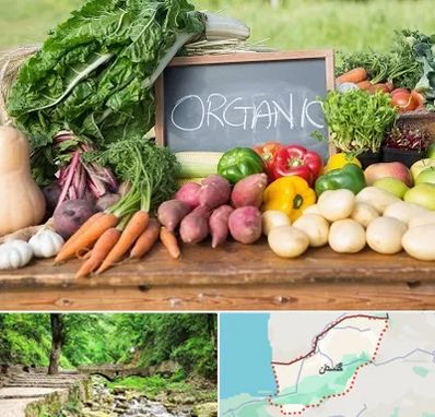 فروشگاه محصولات ارگانیک در گلستان