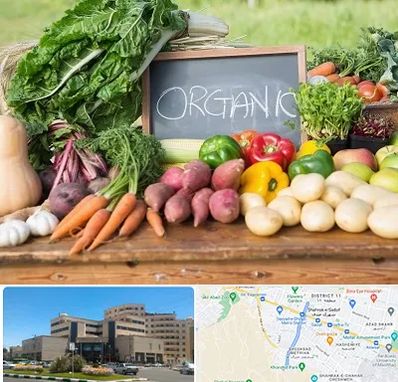 فروشگاه محصولات ارگانیک در صیاد شیرازی مشهد