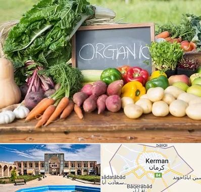 فروشگاه محصولات ارگانیک در کرمان