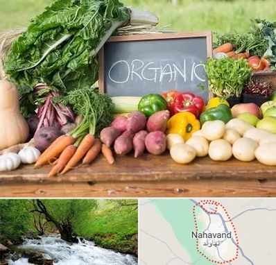 فروشگاه محصولات ارگانیک در نهاوند