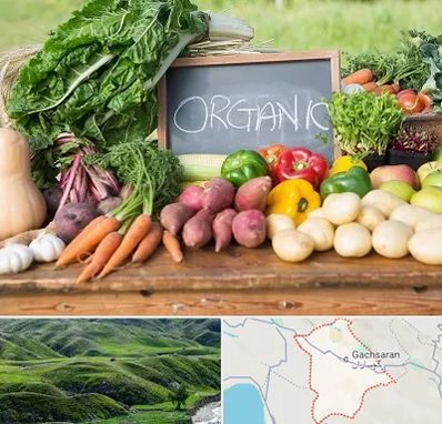 فروشگاه محصولات ارگانیک در گچساران