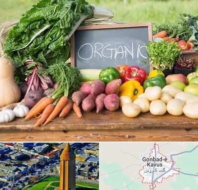 فروشگاه محصولات ارگانیک در گنبد کاووس