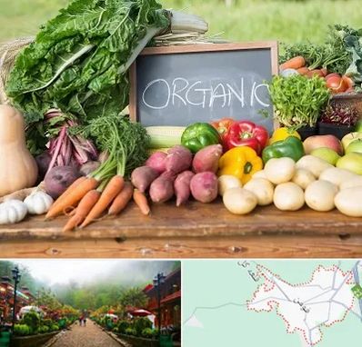 فروشگاه محصولات ارگانیک در فومن