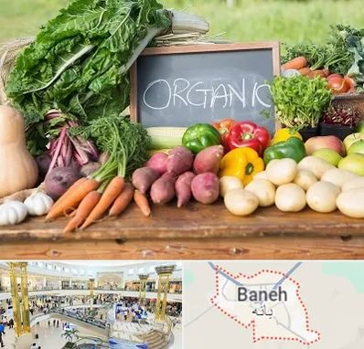 فروشگاه محصولات ارگانیک در بانه