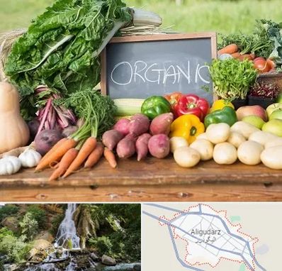 فروشگاه محصولات ارگانیک در الیگودرز