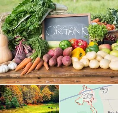 فروشگاه محصولات ارگانیک در کردکوی
