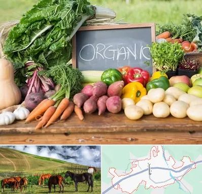 فروشگاه محصولات ارگانیک در تالش