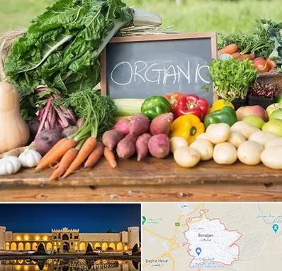 فروشگاه محصولات ارگانیک در برازجان