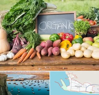 فروشگاه محصولات ارگانیک در چابهار