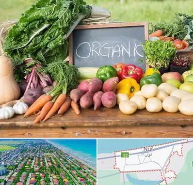 فروشگاه محصولات ارگانیک در نور