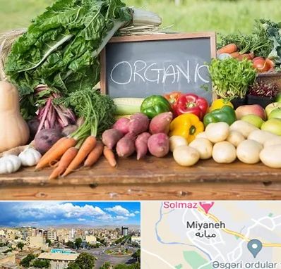فروشگاه محصولات ارگانیک در میانه