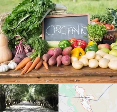 فروشگاه محصولات ارگانیک در باغستان