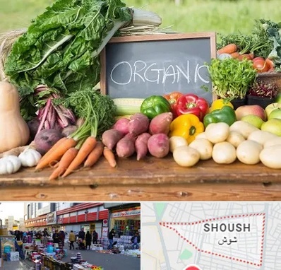 فروشگاه محصولات ارگانیک در شوش