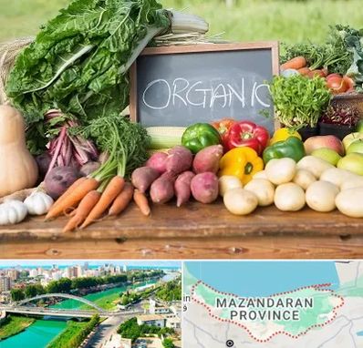فروشگاه محصولات ارگانیک در مازندران