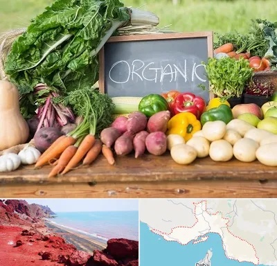 فروشگاه محصولات ارگانیک در هرمزگان