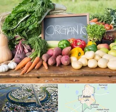 فروشگاه محصولات ارگانیک در بابل