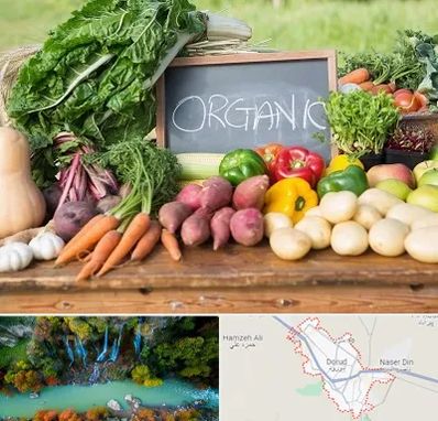 فروشگاه محصولات ارگانیک در دورود