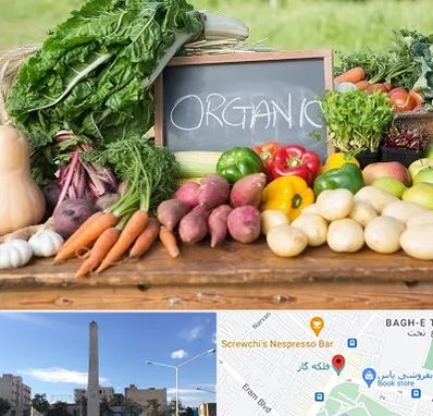 فروشگاه محصولات ارگانیک در فلکه گاز شیراز