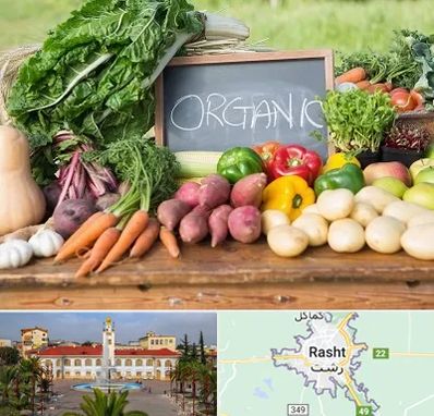 فروشگاه محصولات ارگانیک در رشت