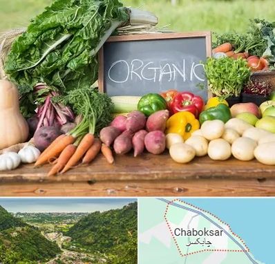 فروشگاه محصولات ارگانیک در چابکسر