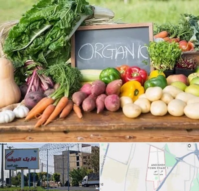 فروشگاه محصولات ارگانیک در فاز یک اندیشه