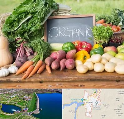 فروشگاه محصولات ارگانیک در مهاباد