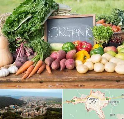فروشگاه محصولات ارگانیک در گرگان