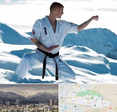 باشگاه کیوکوشین در منطقه 4 تهران 