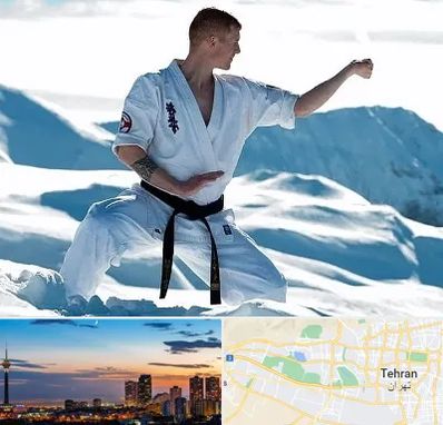 باشگاه کیوکوشین در غرب تهران 