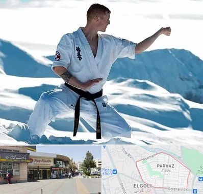 باشگاه کیوکوشین در پرواز تبریز