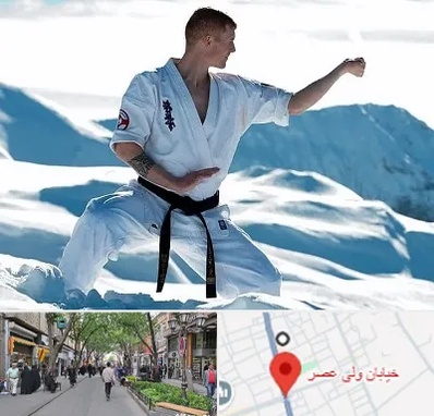 باشگاه کیوکوشین در ولیعصر شهریار
